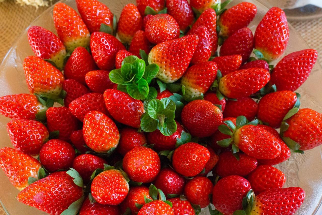 Agroturismo Son Vives Menorca - Adults Only 페레리아스 외부 사진